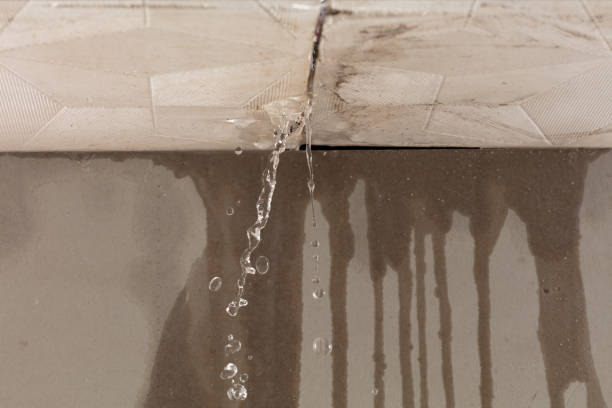 Professional Structural Drying technician working in Lakeview, WA